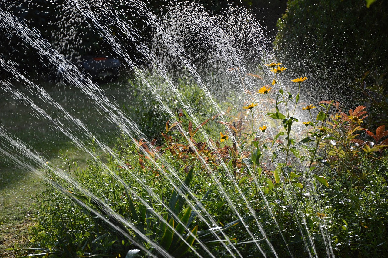 How to Design a Garden for Water Conservation